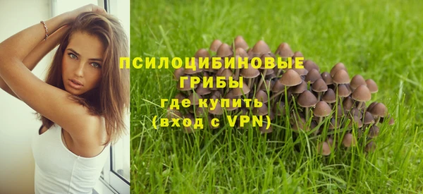 мет Аркадак
